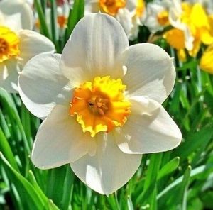 Meet your Posher, Patricia